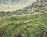 Vincent Van Gogh Green Wheat Field (nn04) oil